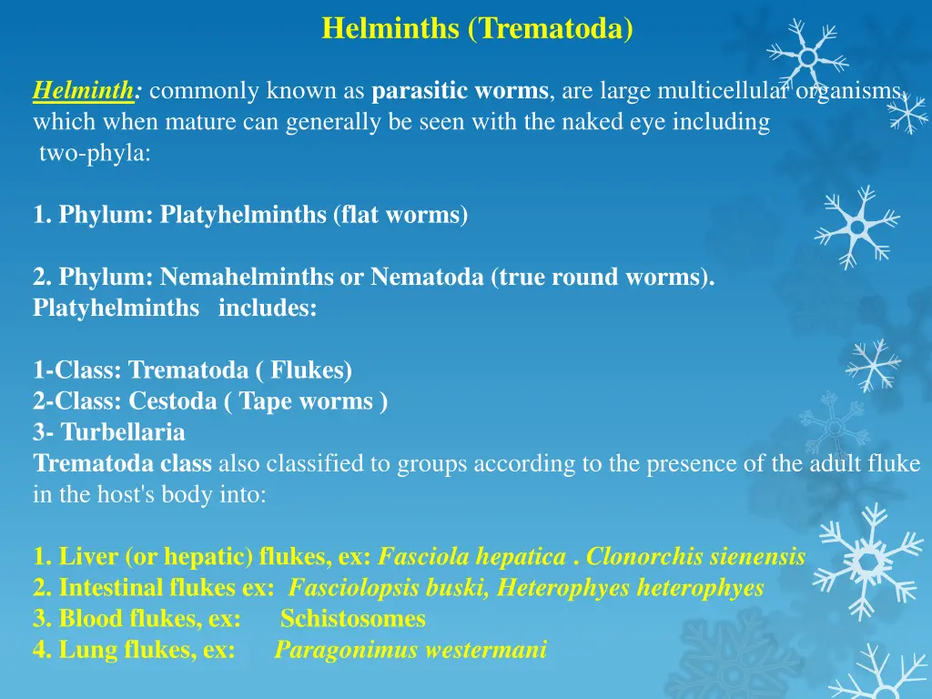helminths trematoda 1