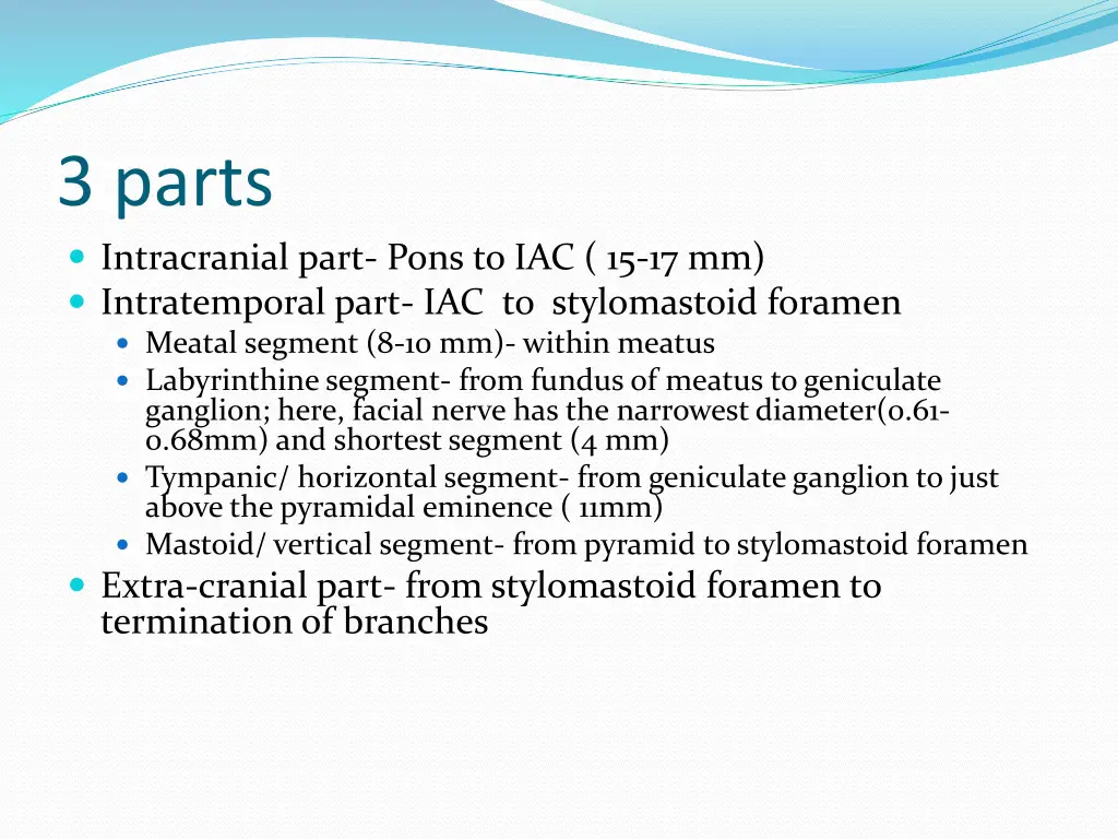 3 parts intracranial part pons