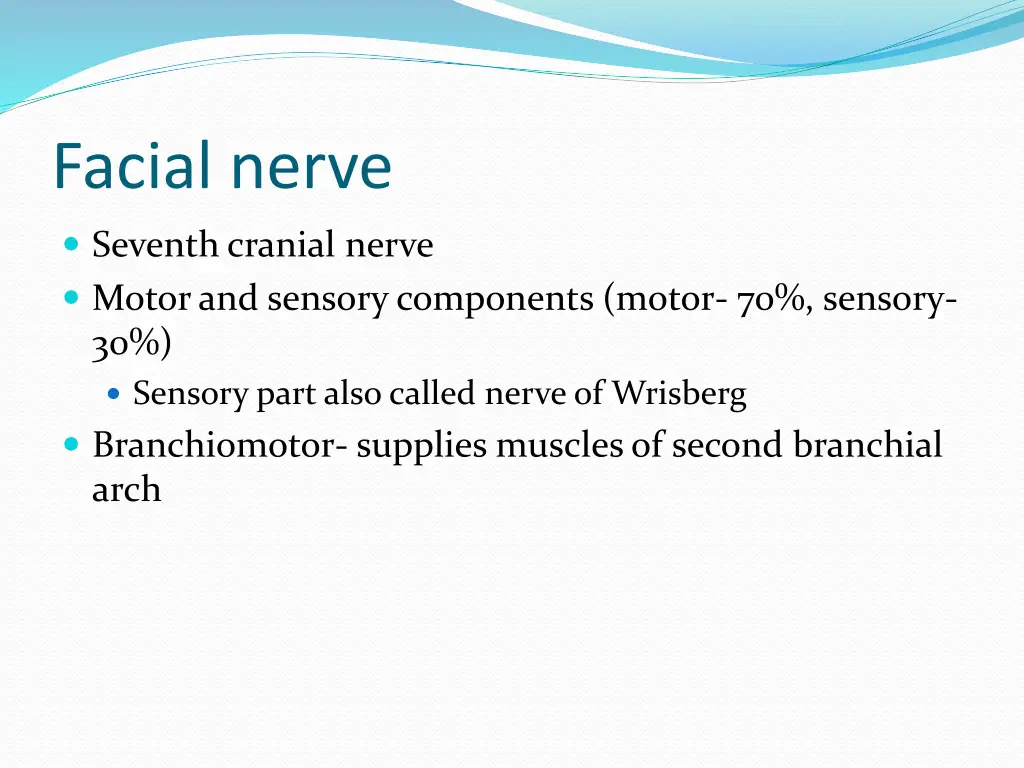 facial nerve