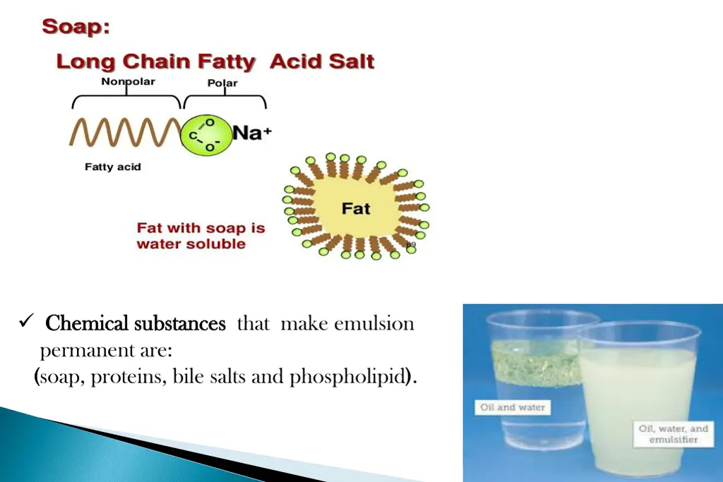 chemical substances chemical substances that make