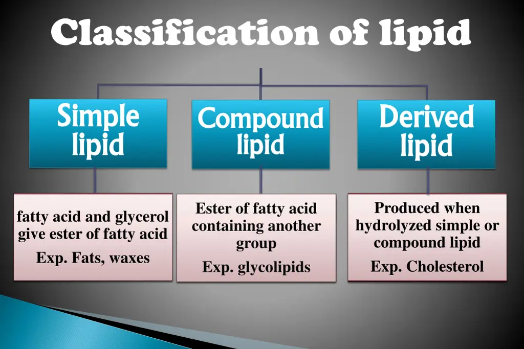 classification of lipid