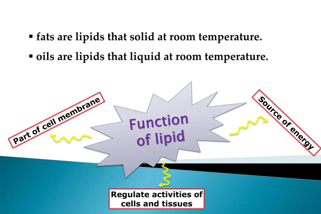 fats are lipids that solid at room temperature