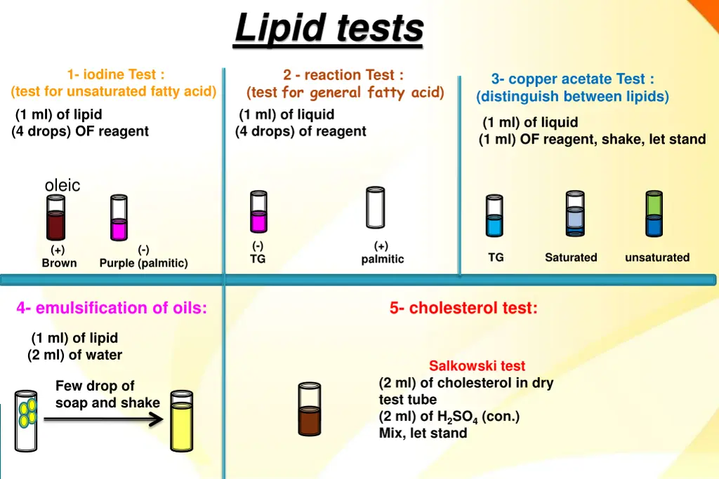 lipid tests