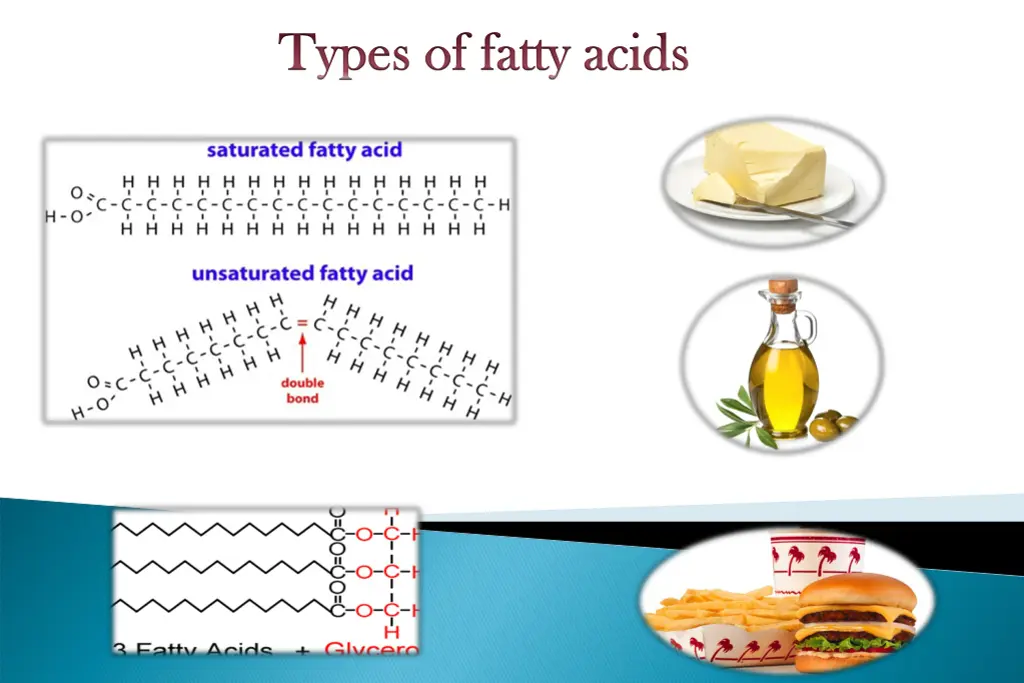 types of fatty acids types of fatty acids