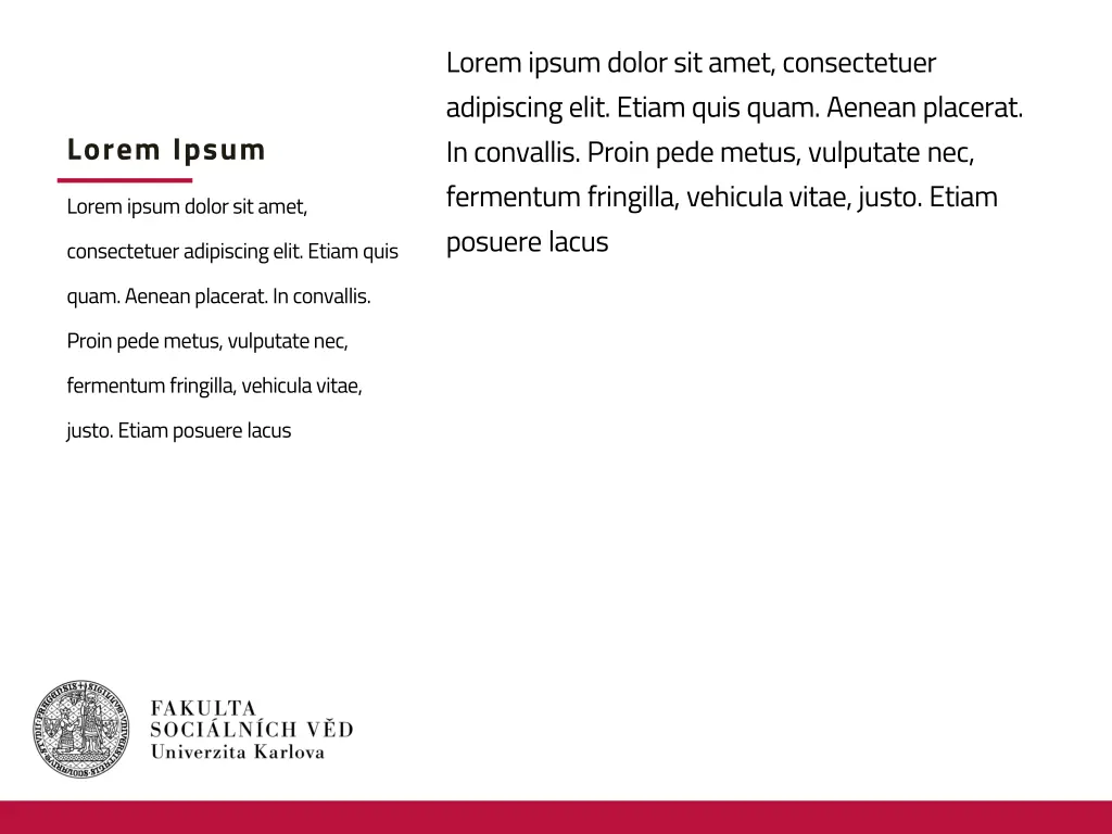 lorem ipsum dolor sit amet consectetuer