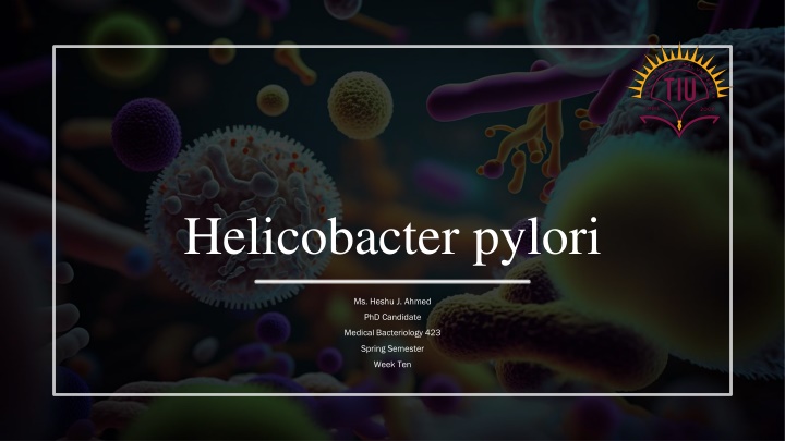 helicobacter pylori