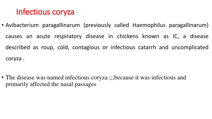 infectious coryza infectious coryza