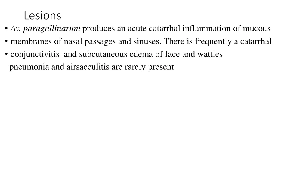 lesions av paragallinarum produces an acute