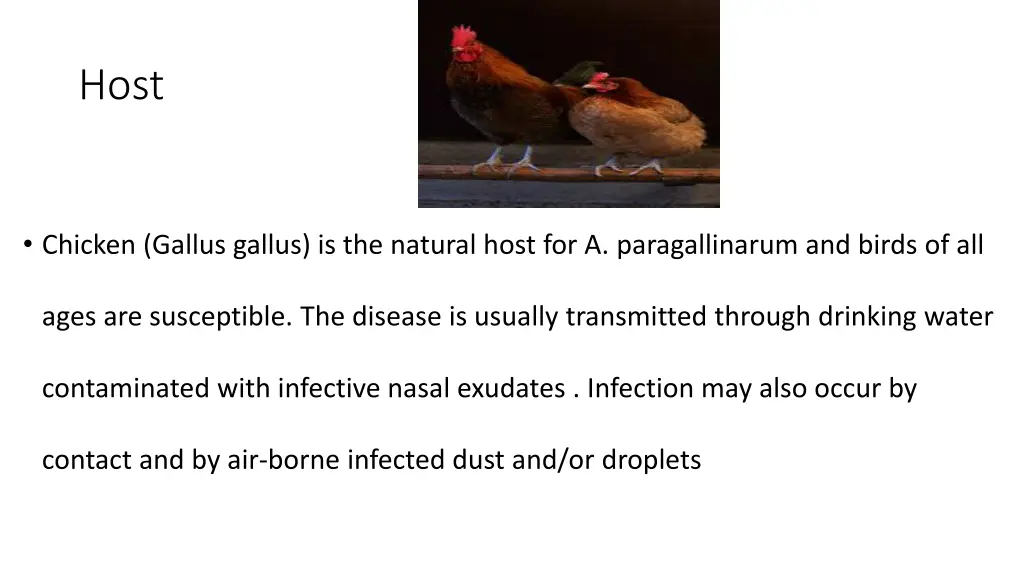 slide3