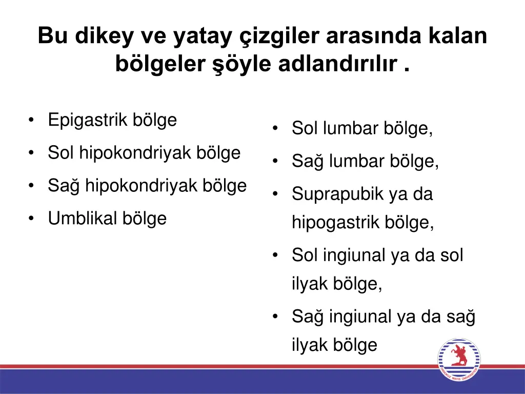 bu dikey ve yatay izgiler aras nda kalan b lgeler
