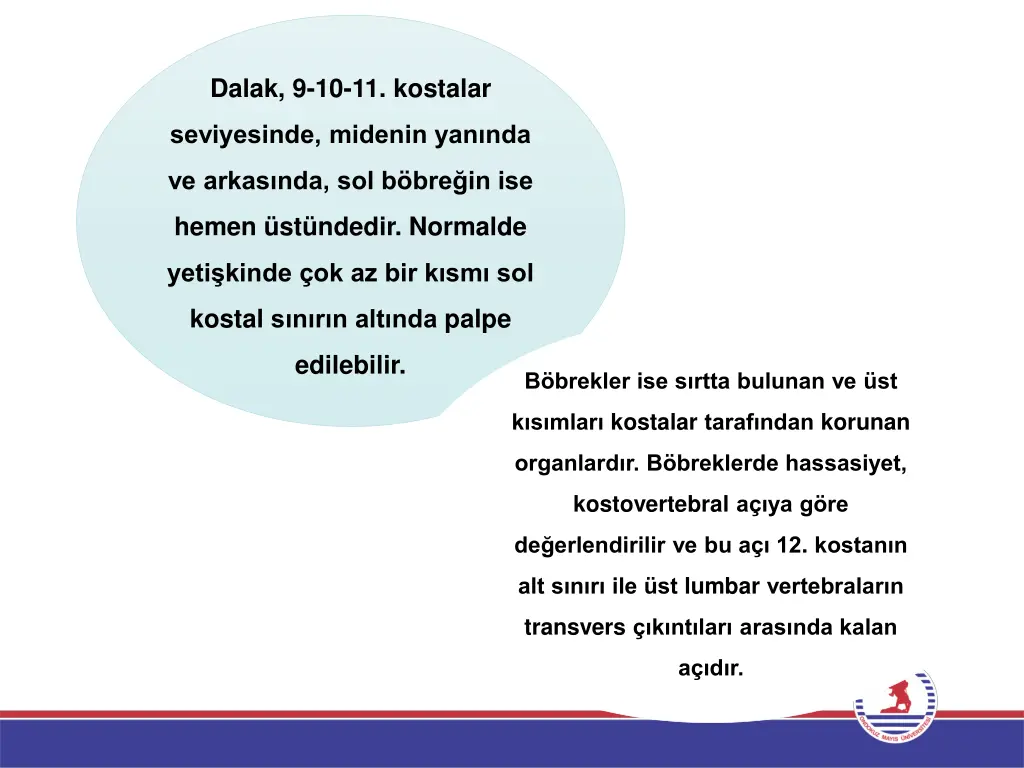 dalak 9 10 11 kostalar