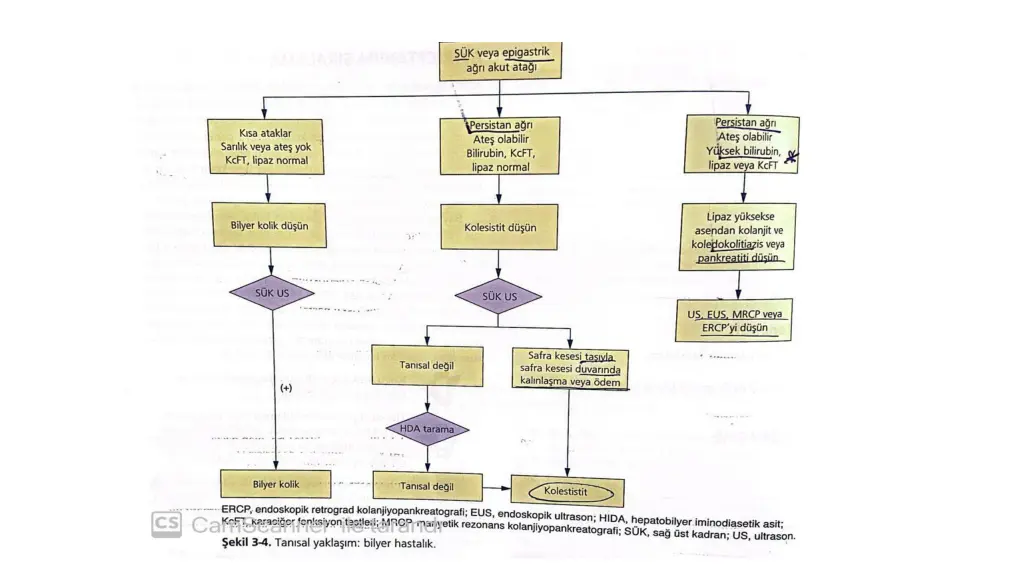 slide31