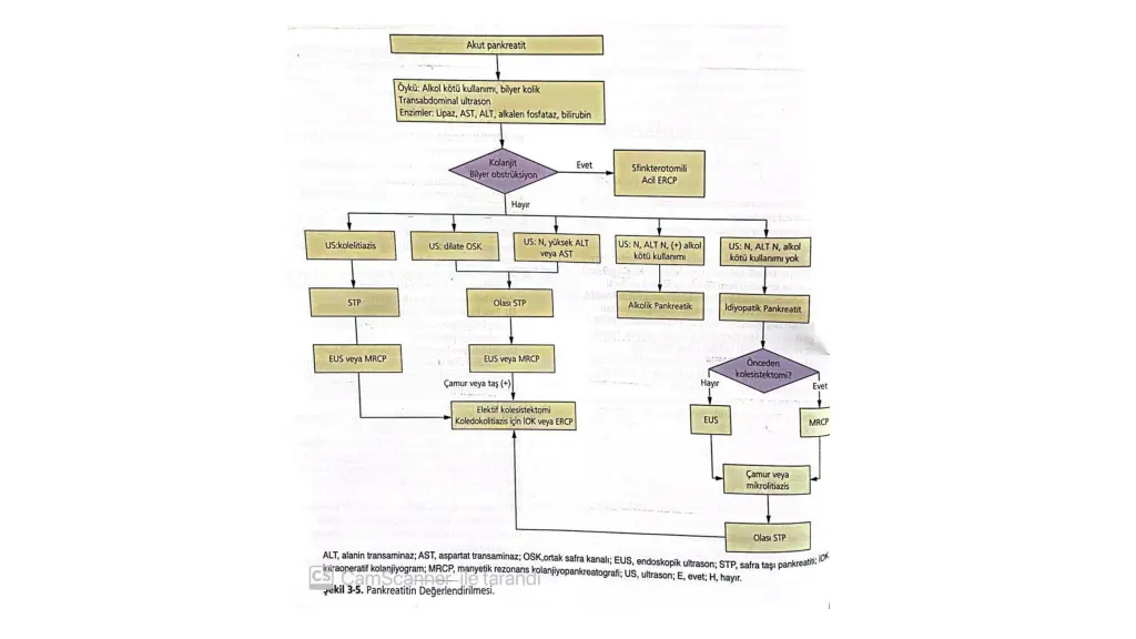 slide33