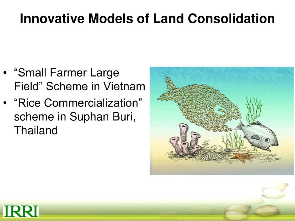 innovative models of land consolidation
