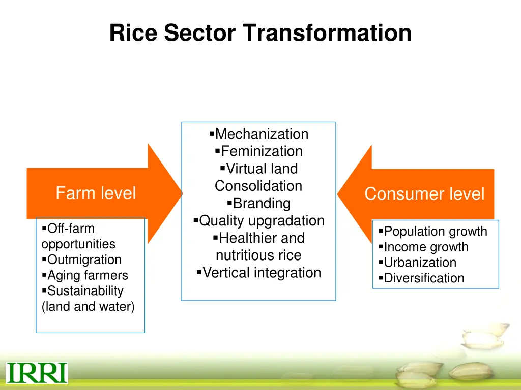 rice sector transformation