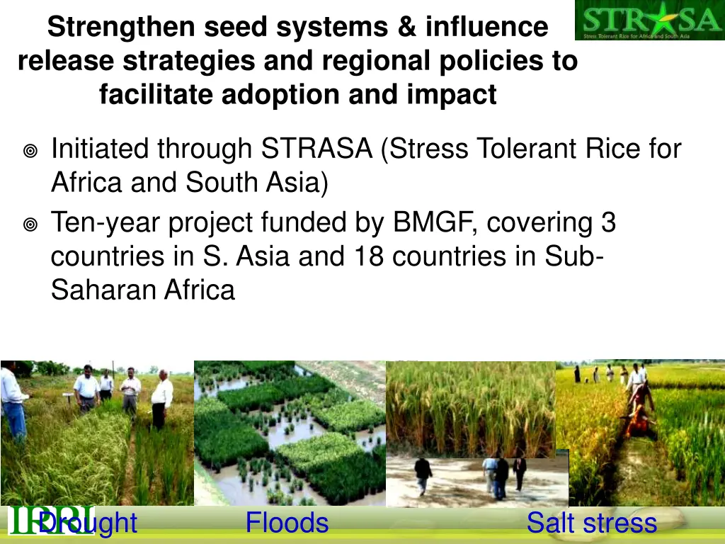 strengthen seed systems influence release