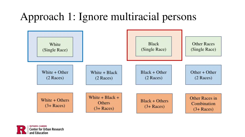 approach 1 ignore multiracial persons