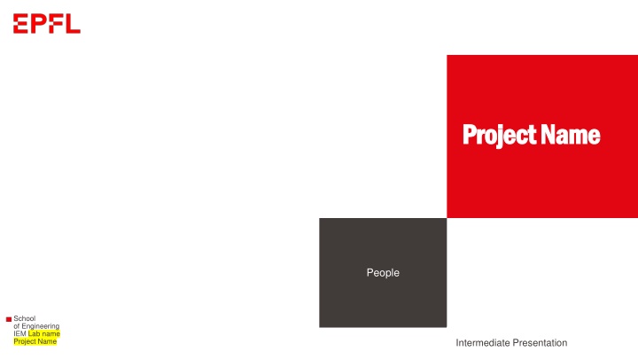 project name project name