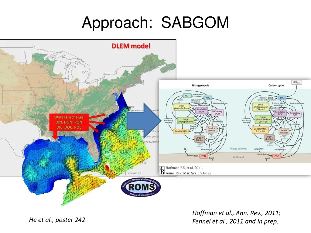 approach sabgom