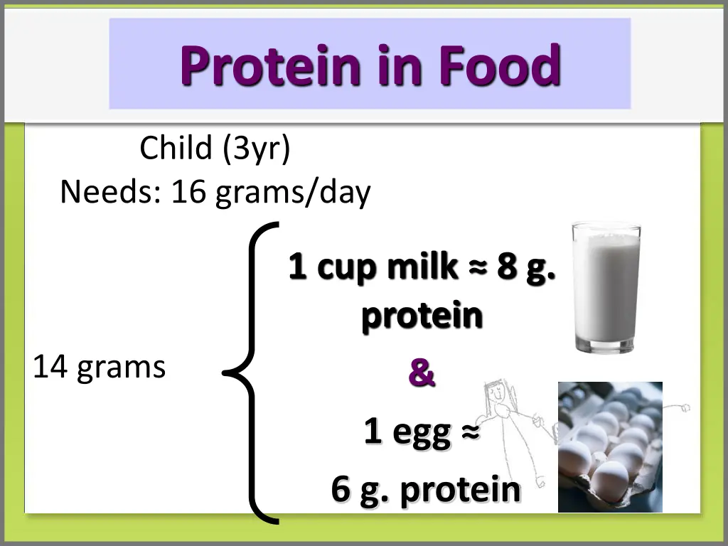 protein in food 3