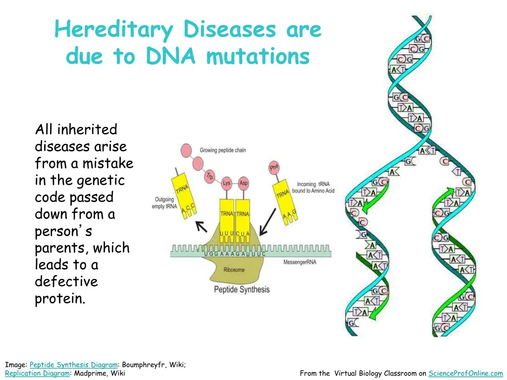 hereditary diseases are due to dna mutations