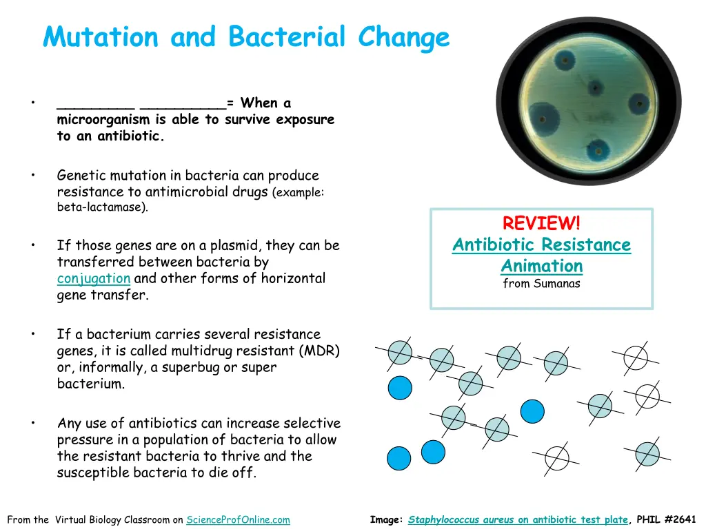 mutation and bacterial change