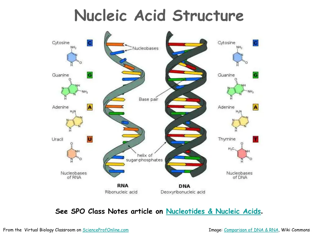 nucleic acid structure
