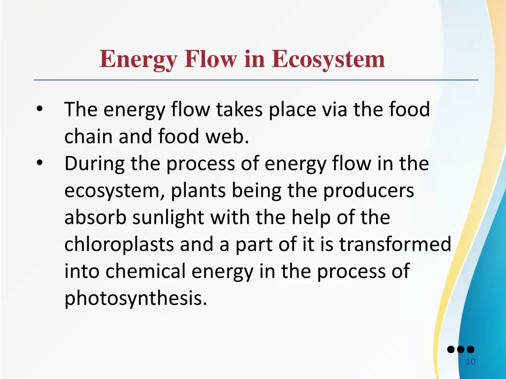 energy flow in ecosystem 5