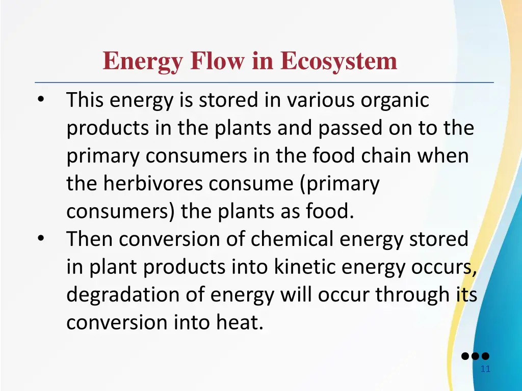 energy flow in ecosystem 6