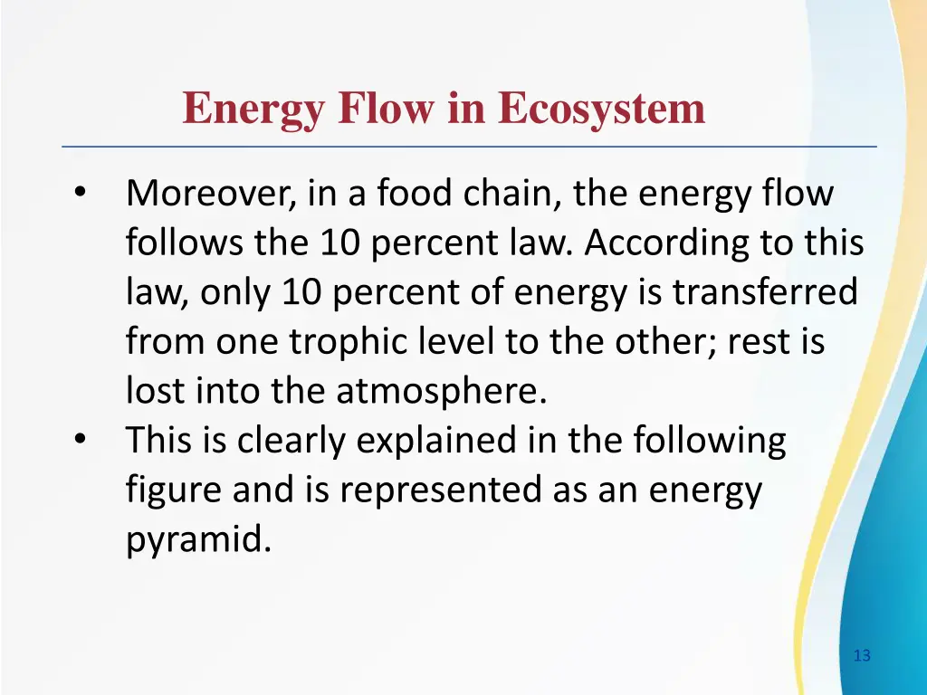 energy flow in ecosystem 8