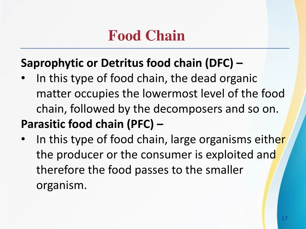 food chain 1