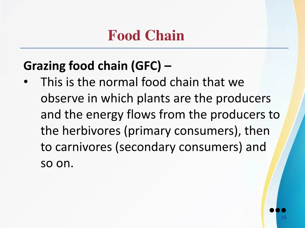 food chain