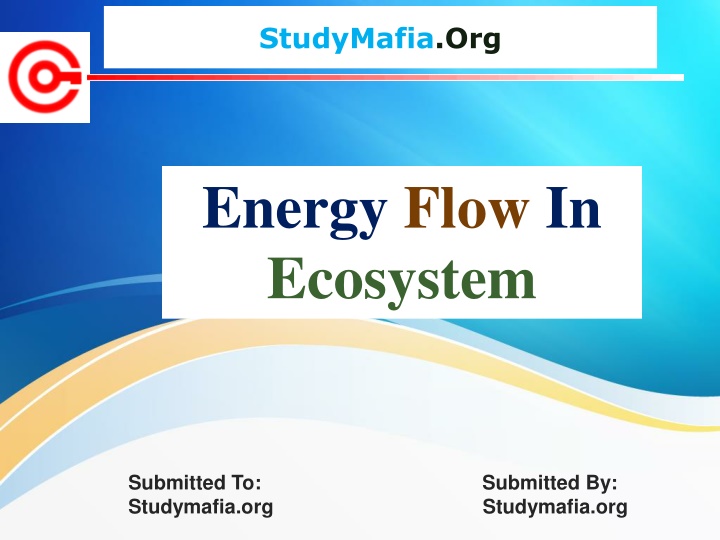 studymafia org