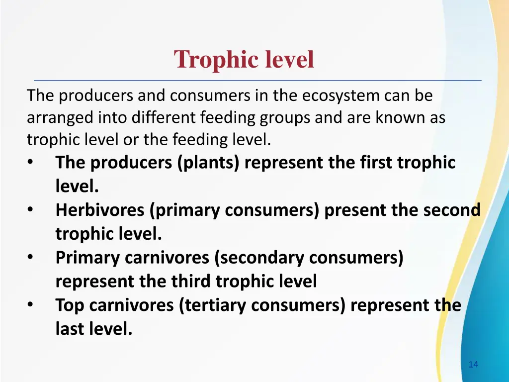 trophic level