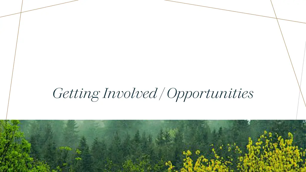 getting involved opportunities