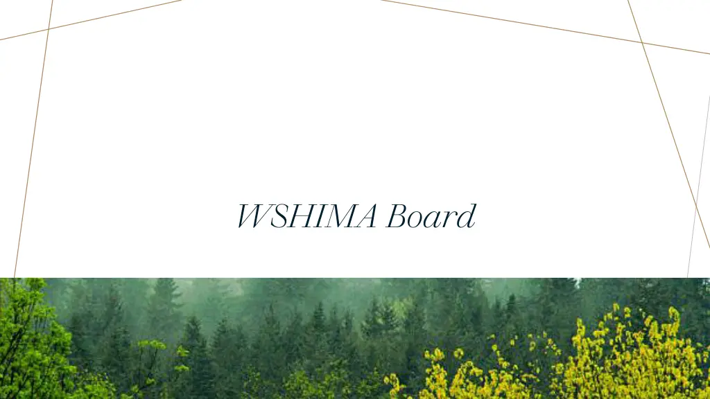 wshima board