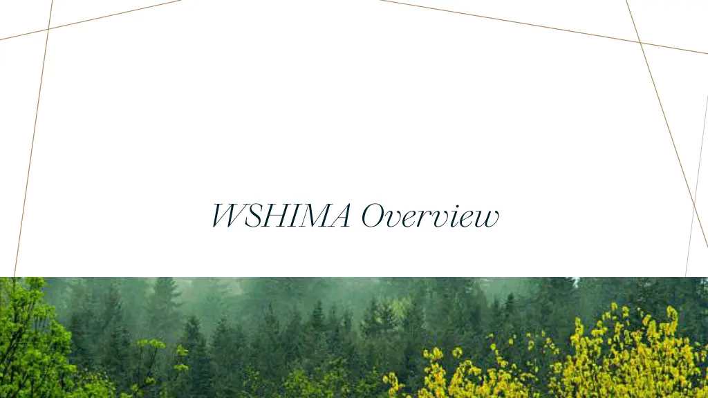 wshima overview 1