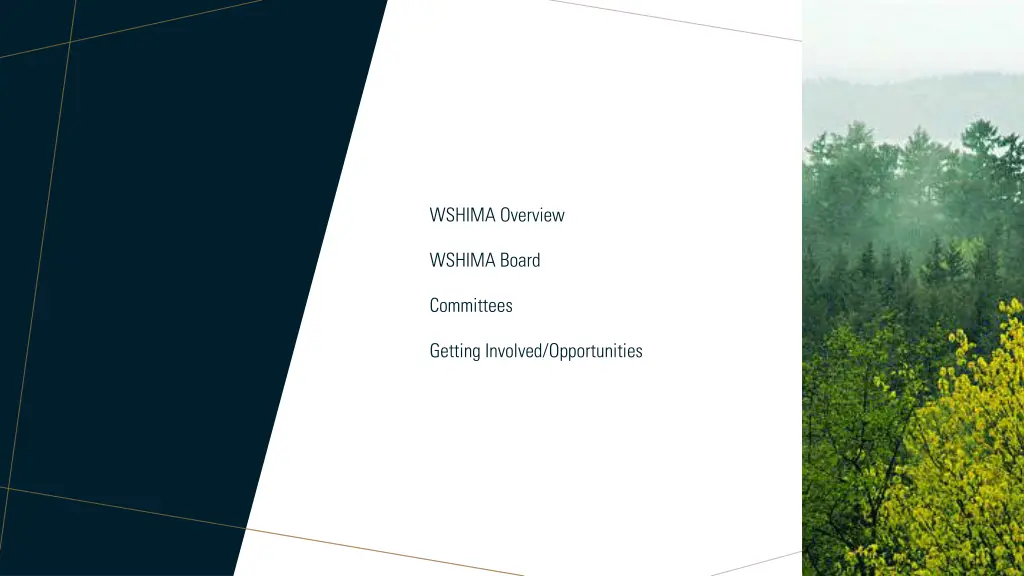 wshima overview
