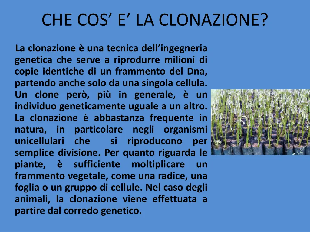 che cos e la clonazione