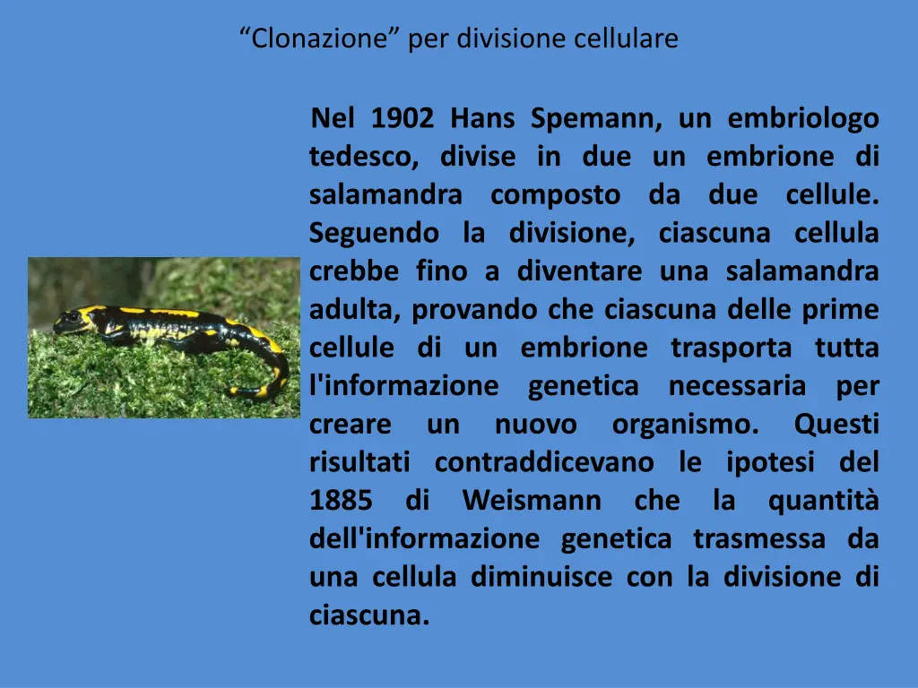 clonazione per divisione cellulare