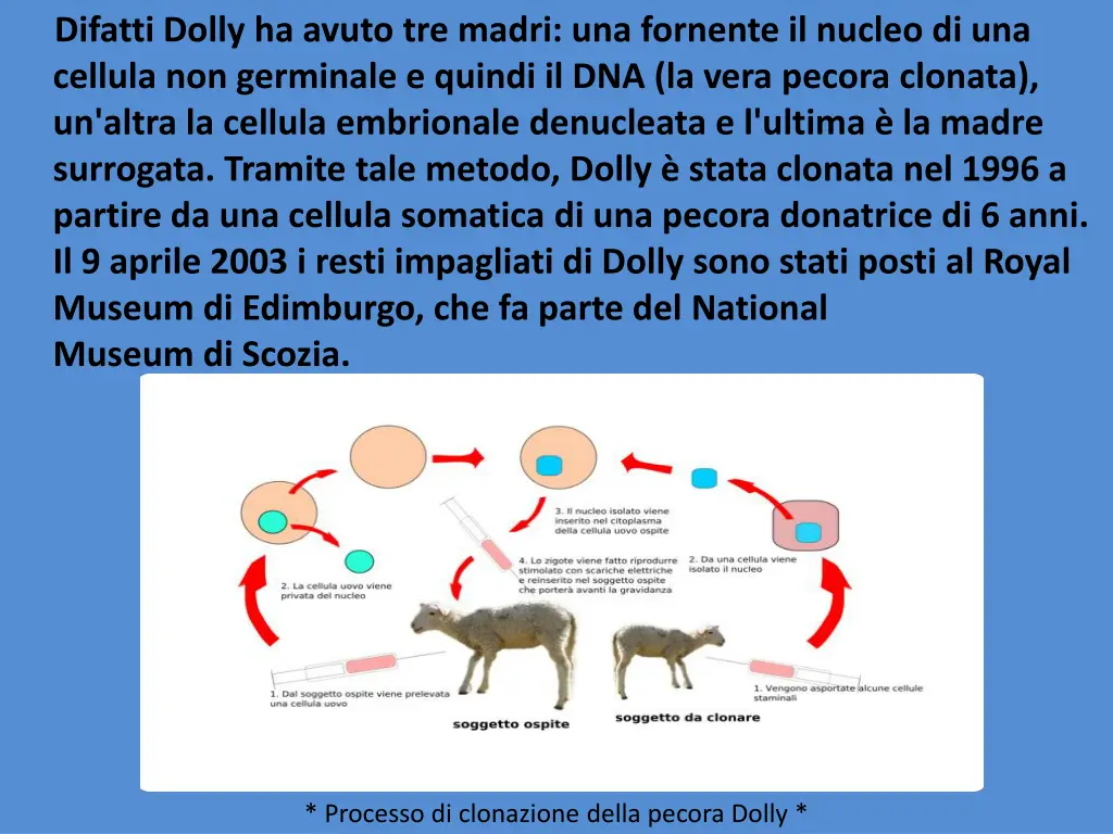 difatti dolly ha avuto tre madri una fornente
