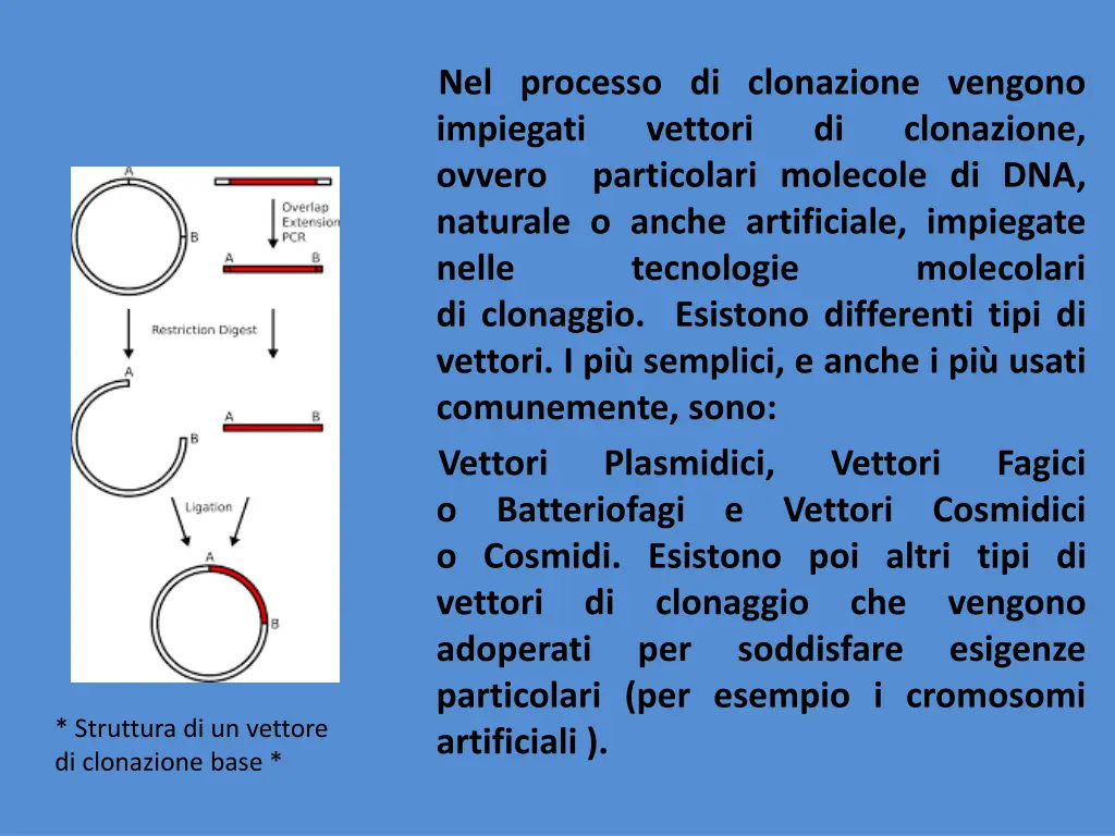 nel processo di clonazione vengono impiegati
