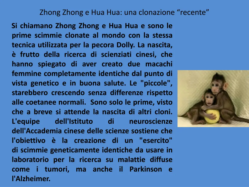 zhong zhong e hua hua una clonazione recente
