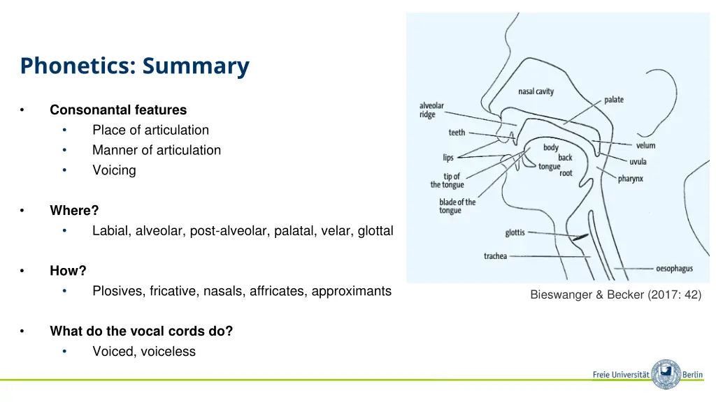 phonetics summary
