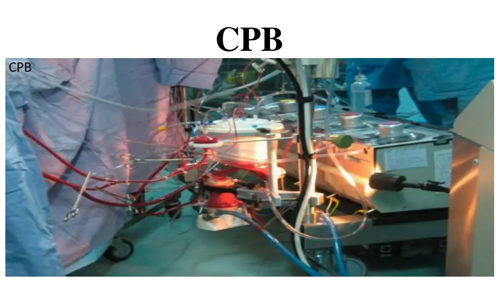 slide8