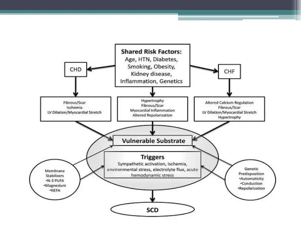 slide14