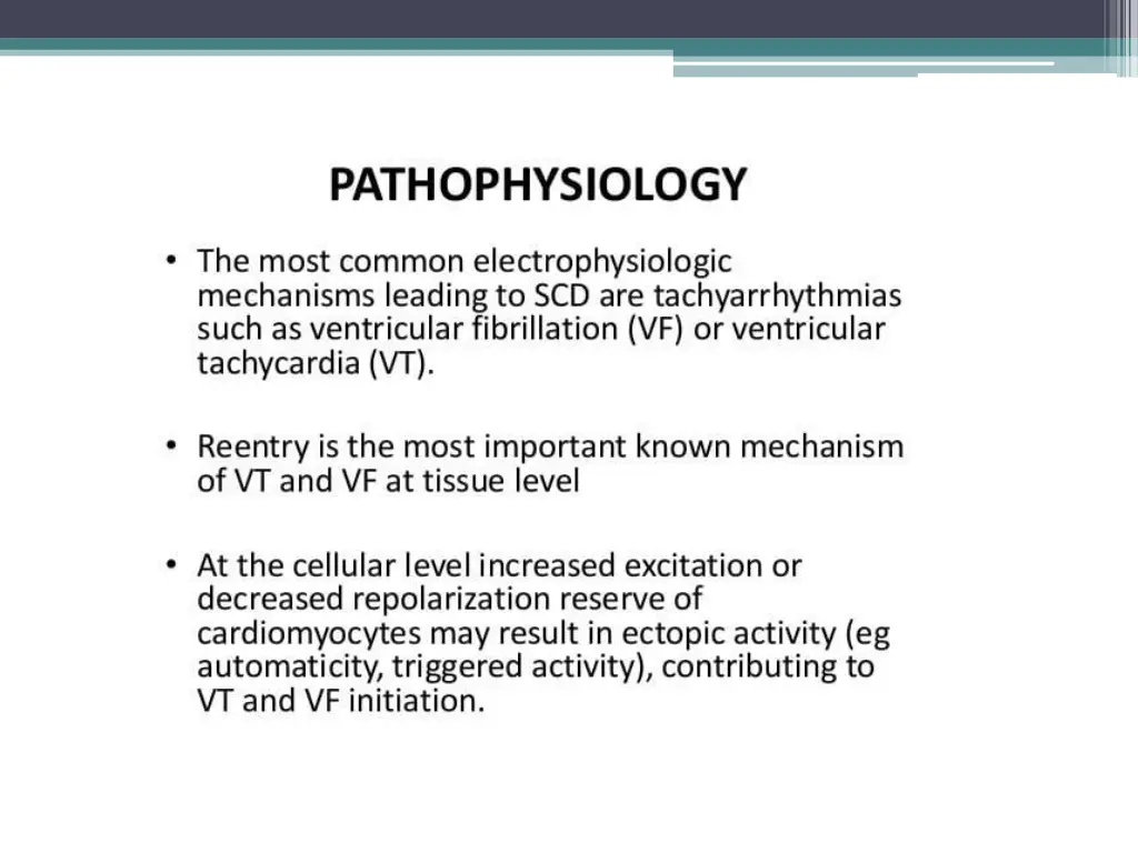 slide15