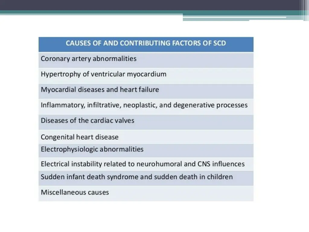 slide24