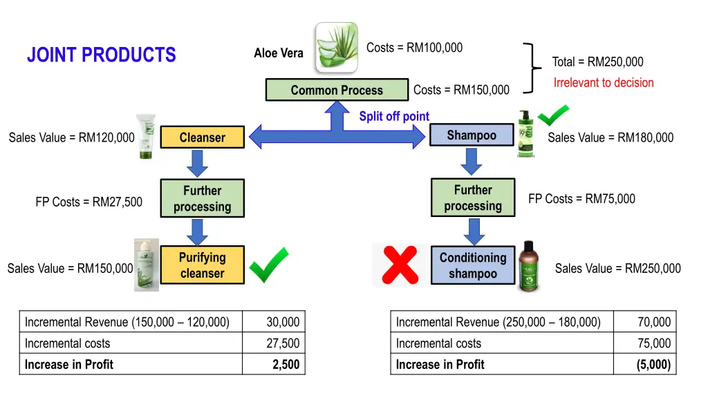 costs rm100 000