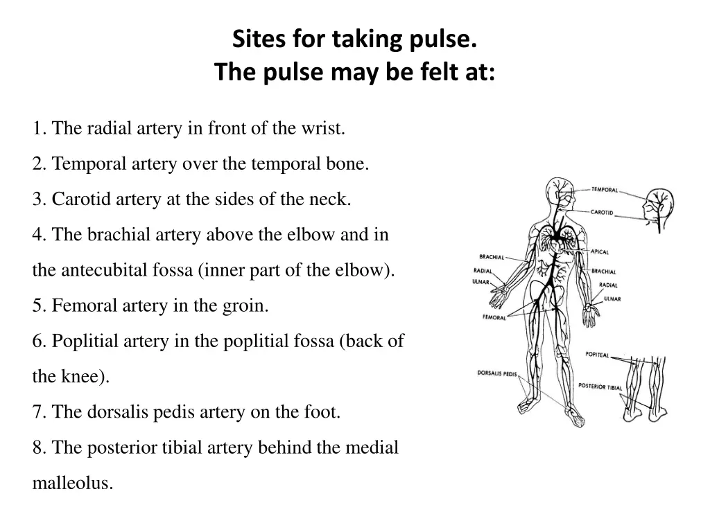 sites for taking pulse the pulse may be felt at